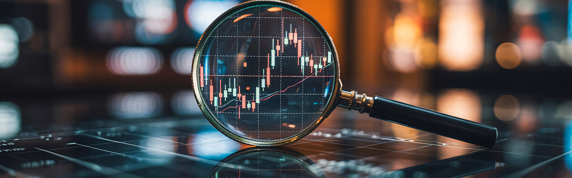 Web 1920X600px 1 (13)